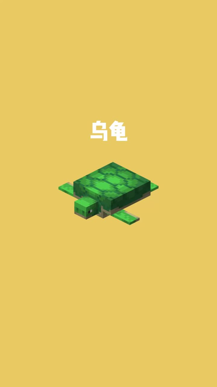我的世界vs真实世界——乌龟截图