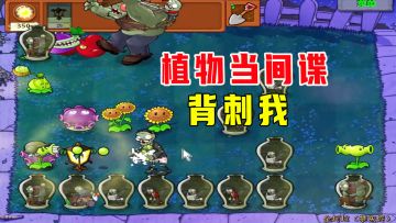 植物大战僵尸：金坷垃（禁灰烬），灰烬植物获取我的信任，背刺我