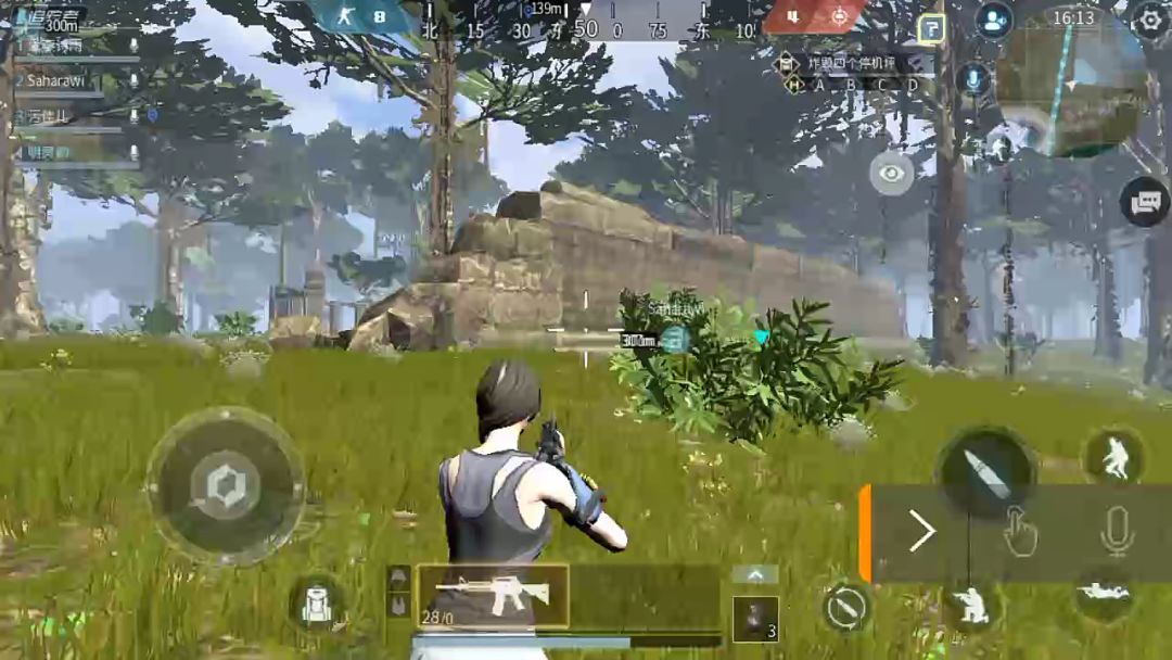 video-1165653