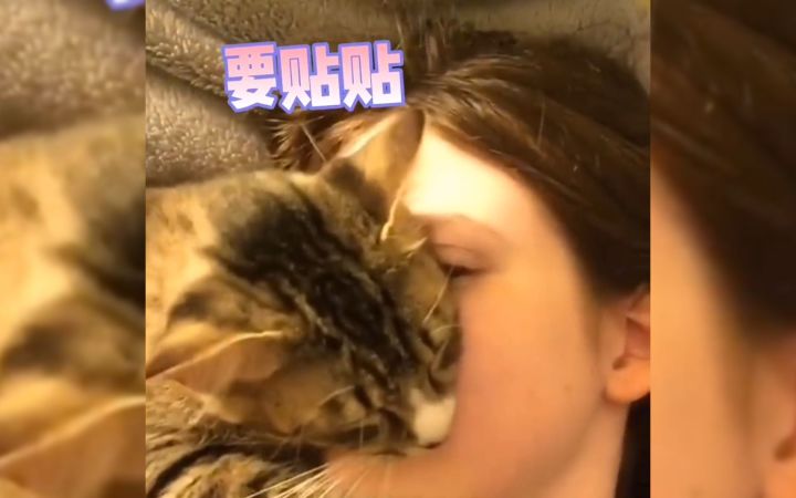 美女贴贴?哪有这个爽!截图