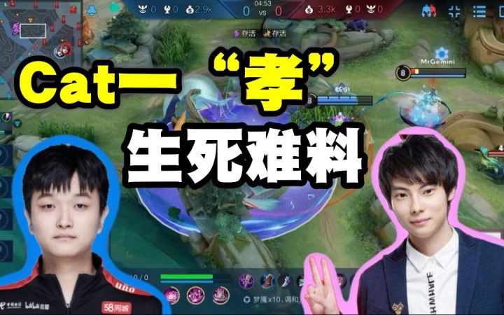 国服垂直夜师徒solo战，猫神一“孝”，Gemini生死难料截图