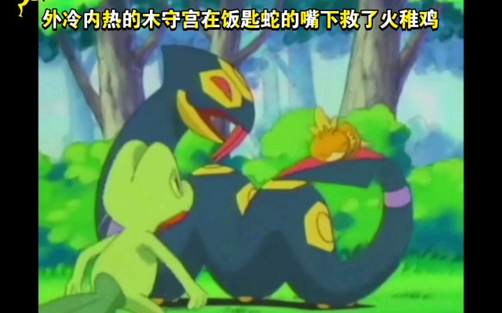 精灵宝可梦 外冷内热的木守宫在饭匙蛇的嘴下救了火稚鸡截图