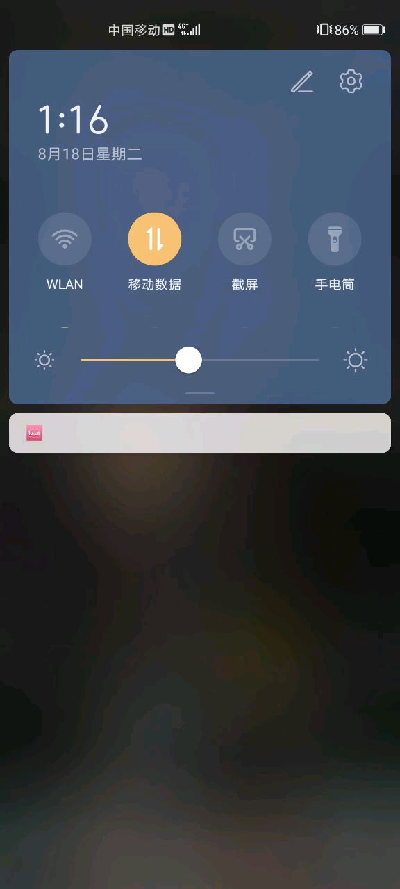 video-1544558