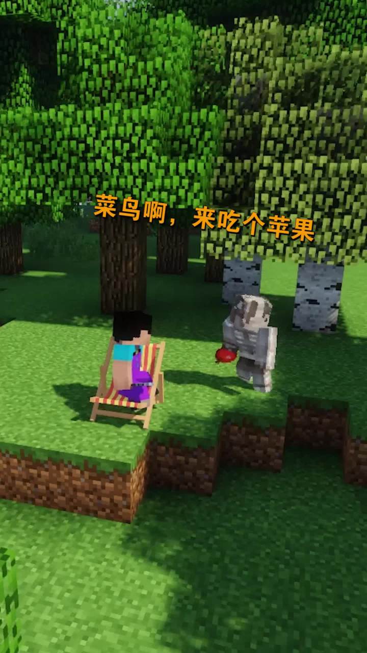 我的世界截图