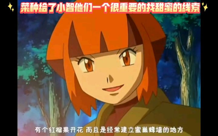 精灵宝可梦 菜种给了小智他们一个很重要的找甜蜜的线索截图