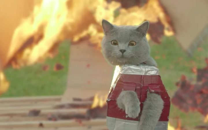 钢铁猫极限解救遇难的小猫咪截图