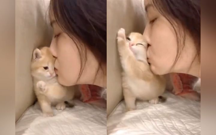 “妹子,放开那只猫!冲我来!”截图