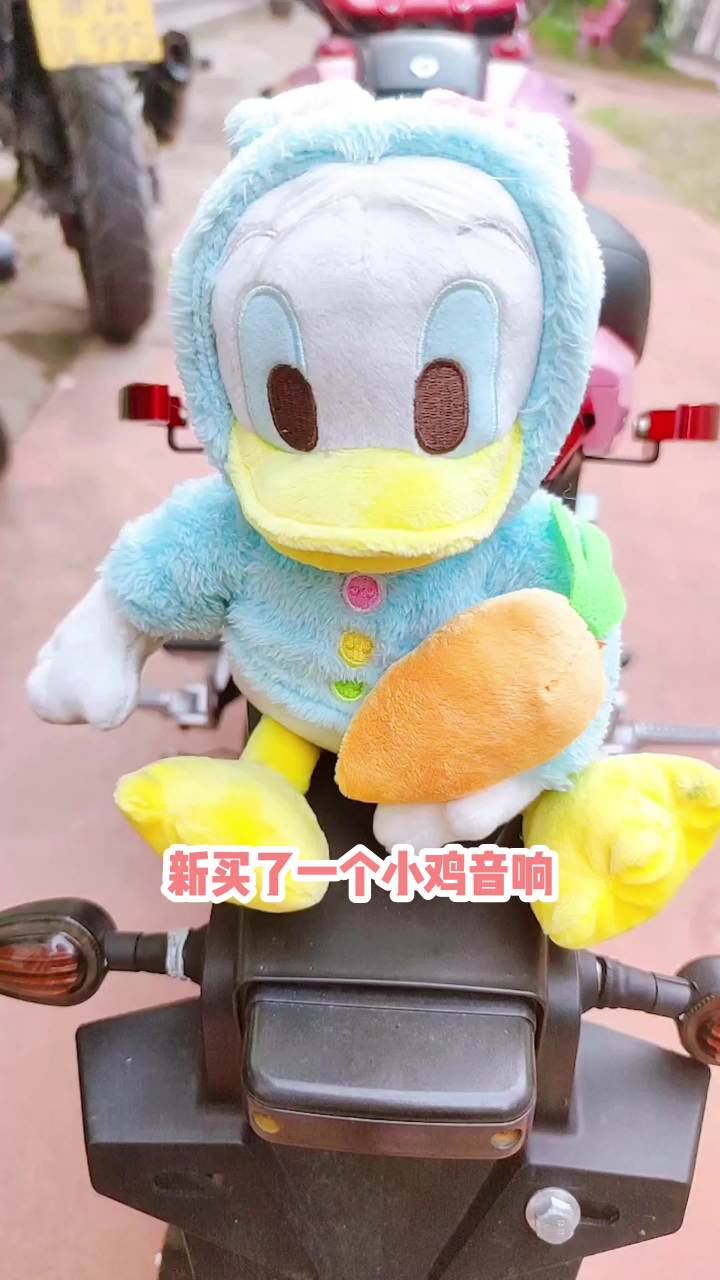 一个蓝牙音响的一生截图