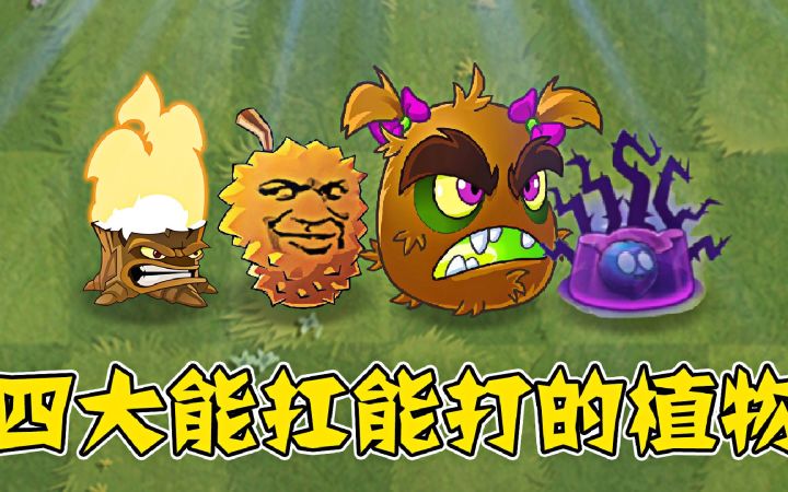 植物大战僵尸:能扛能打的植物,你最看好谁?截图