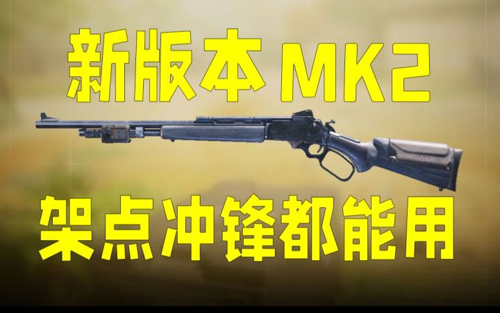 新版本MK2,架点冲锋两不误!截图