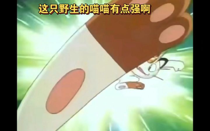 精灵宝可梦 这只野生的喵喵好强啊截图