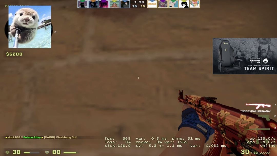 video-3651071