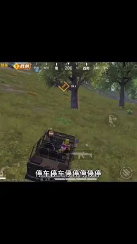 属实有点费队友…截图