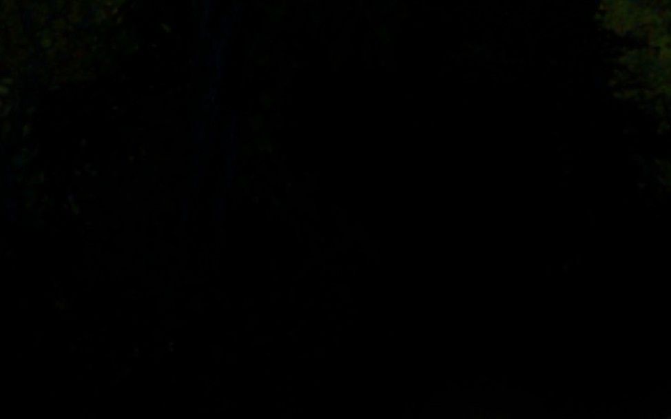 video-3434061