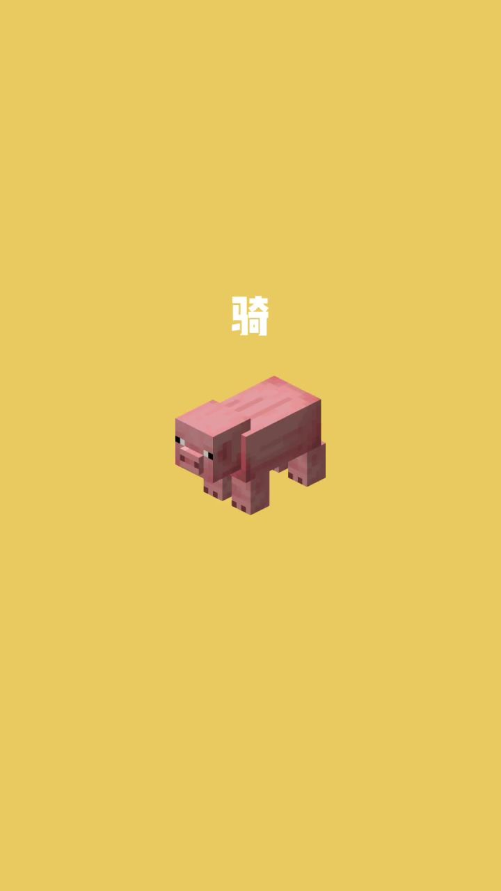 我的世界vs真实世界——骑#我的世界动画截图