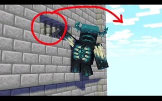 【搬运】Prison Escape Warden,Witch and Pillager丨我的世界动画