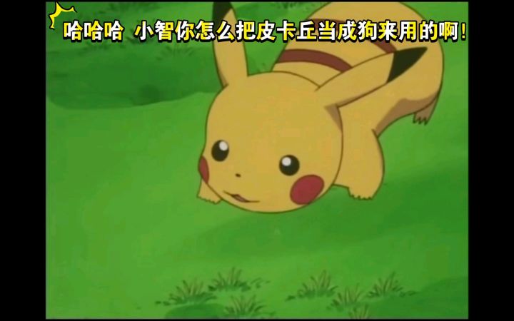 精灵宝可梦 哈哈哈 小智你怎么把皮卡丘当成狗来用的啊!截图
