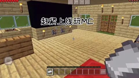 video-2115691