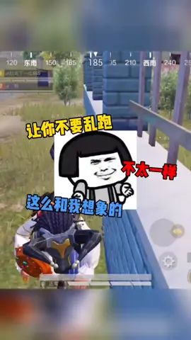 怎么和想象的不太一样呢!!#和平精英 #游戏日常截图