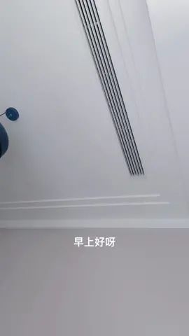 放 气 球🎈#被窝里的小可爱 #躺在床上的你 #日常发疯 #躺在床上拍抖音 #猫截图