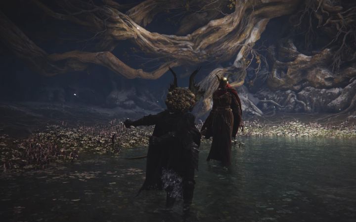 【4K】《艾尔登法环》为女武神献上《堡垒之夜》的舞蹈截图