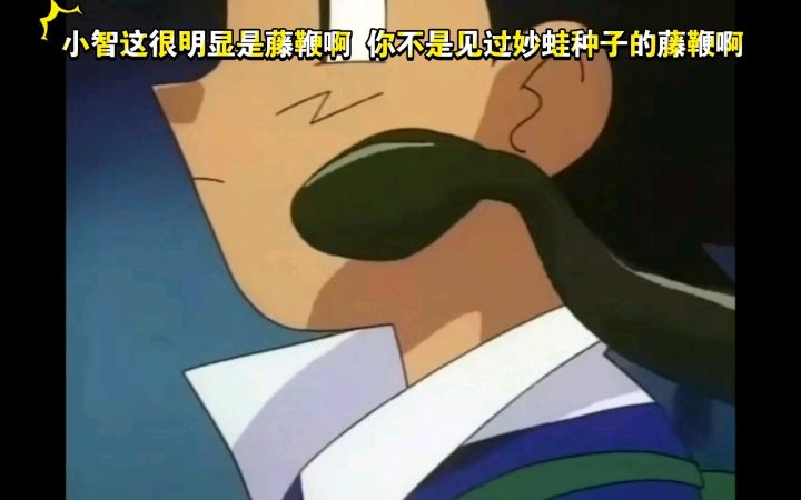 精灵宝可梦 小智这很明显是藤鞭啊 你不是见过妙蛙种子的藤鞭啊截图