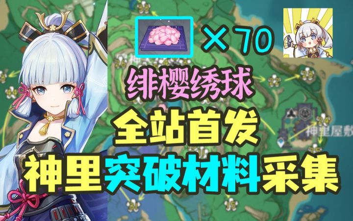 【原神】全站首发75个绯樱绣球丝滑采集路线~给神里绫华准备突破材料啦截图