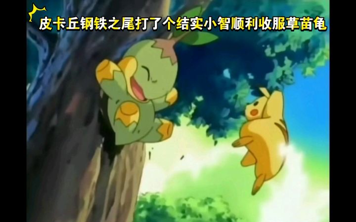 精灵宝可梦 皮卡丘钢铁之尾打了个结实小智顺利收服草苗龟截图
