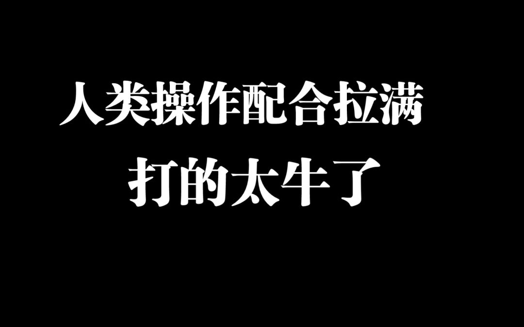 video-3079932