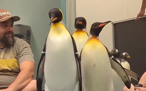video-3744756