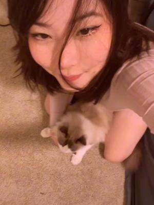 看我的猫猫!#我和我的喵 #猫咪 #萌宠 #mayumi #甜妹截图