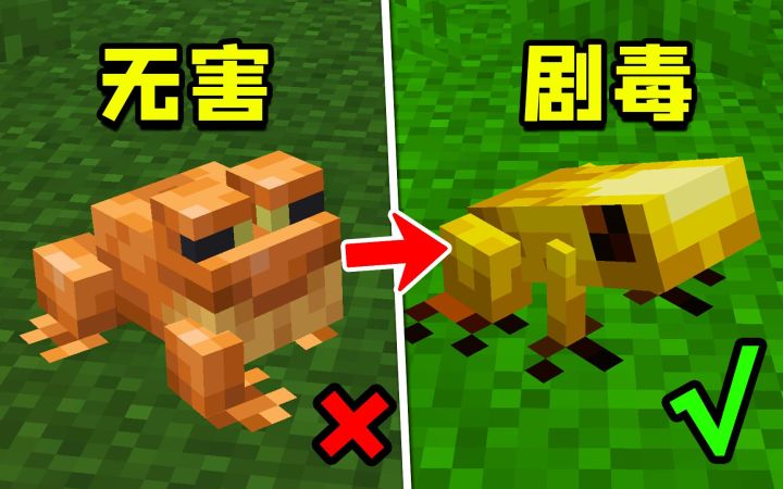 我的世界:雨林群系新加箭毒蛙?黄色=剧毒!截图