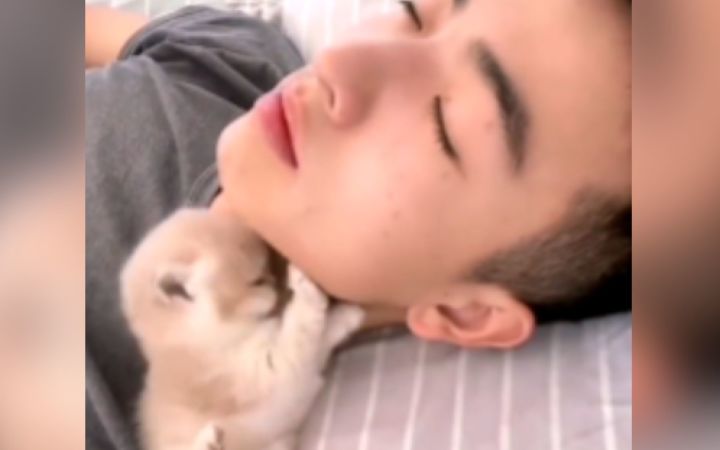 猫咪:女人会撒娇~男人魂会飘~截图