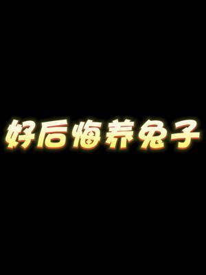 video-3675010