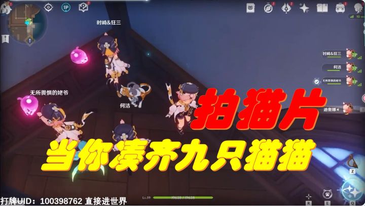 某主播竟深夜拍猫片，我们中出了一个叛徒，究竟是人性的扭曲，还是道德的沦丧。截图