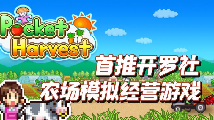 TOP10最佳种田手游之，晴空农场物语（Pocket Harvest）截图