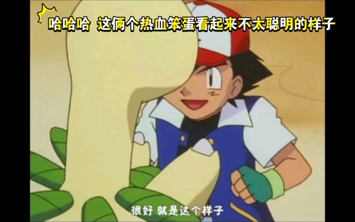 精灵宝可梦 哈哈哈 这俩个热血笨蛋看起来不太聪明的样子截图