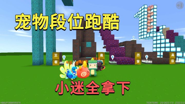 迷你世界:宠物段位跑酷,王者级是丰羽孔雀,小迷用百段全部拿下截图