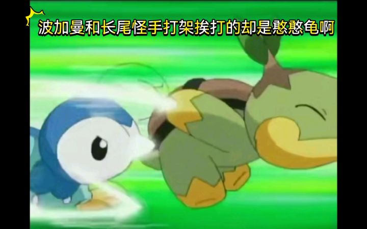 精灵宝可梦 波加曼和长尾怪手打架挨打的却是憨憨龟啊截图