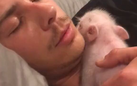 怀里的小可爱，一转眼就变成了大猪猪，实在是抱不下啦！截图