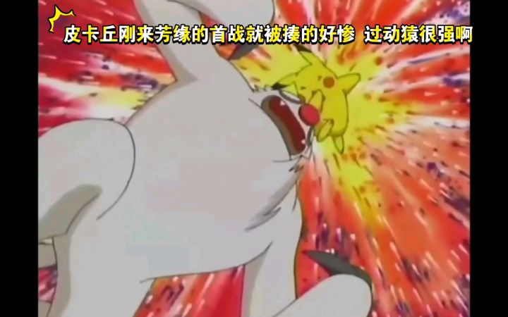 精灵宝可梦 小智对战千里 皮卡丘VS过动猿 皮卡丘刚来芳缘的首战就被揍的好惨 过动猿很强啊截图