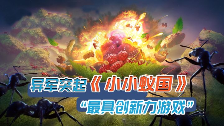 居然有以蚂蚁为主题的策略手游？浅谈《小小蚁国》#无限视频创作月#截图
