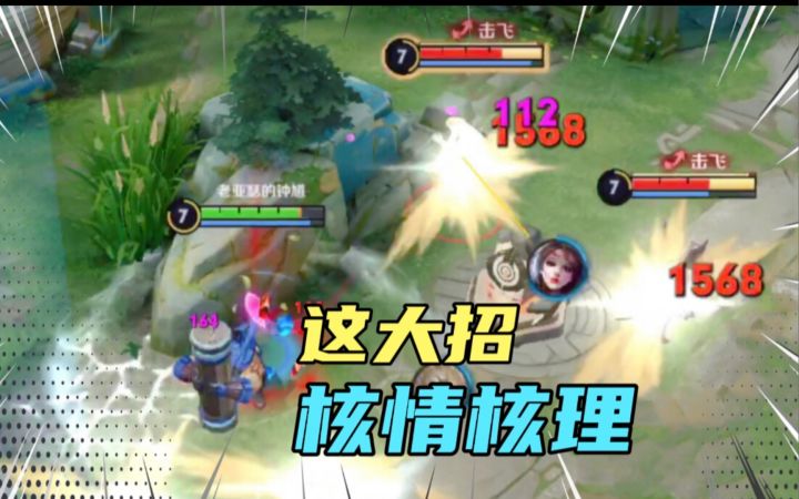 【王者荣耀】苏烈 : 对不起、我给“核弹流”苏烈丢人了…截图