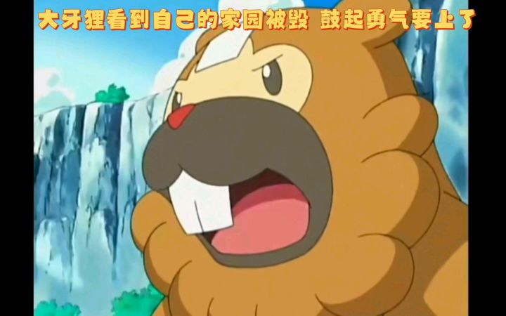 精灵宝可梦 大牙狸看到自己的家园被毁 鼓起勇气要上了截图