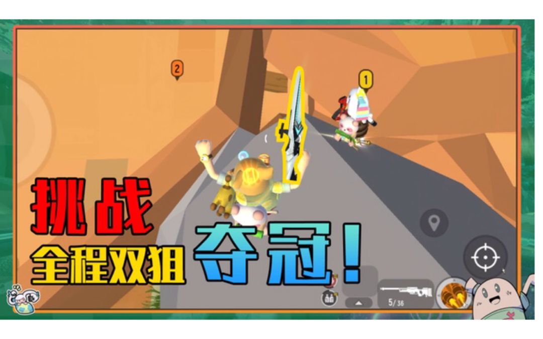 video-2224761