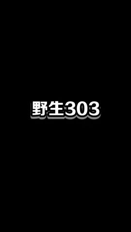 这是一只野生的303#像素射击 #像素射击创意工坊截图