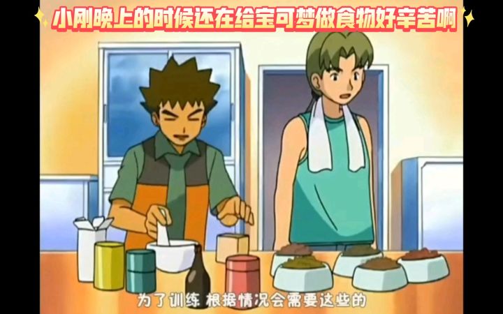 精灵宝可梦 小刚晚上的时候还在给宝可梦做食物好辛苦啊截图