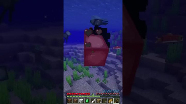 我让所有的Minecraft音频随机…截图