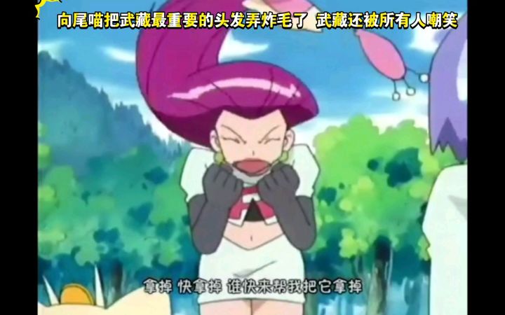 精灵宝可梦 向尾喵把武藏最重要的头发弄炸毛了 武藏还被所有人嘲笑截图