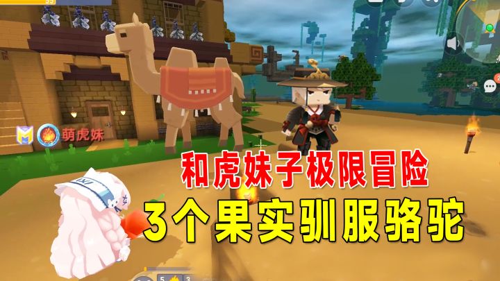 迷你世界沙漠生存2：八哥用3个果实驯服骆驼，不需要鞍直接可以骑截图